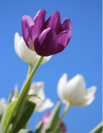 Kathleen "Sally" Blake Obituary