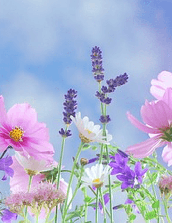 Janet L. (Brautigam) Zeh Obituary