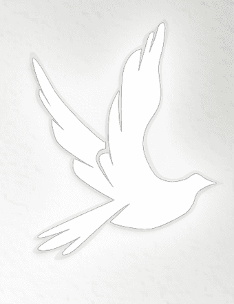 Danny Mac  Lutz Obituary